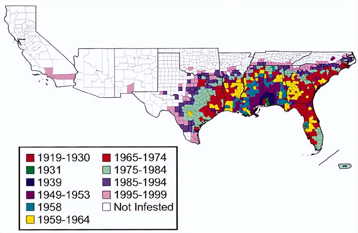 红火蚁咬伤人事件,小孩被红火蚁咬死亡