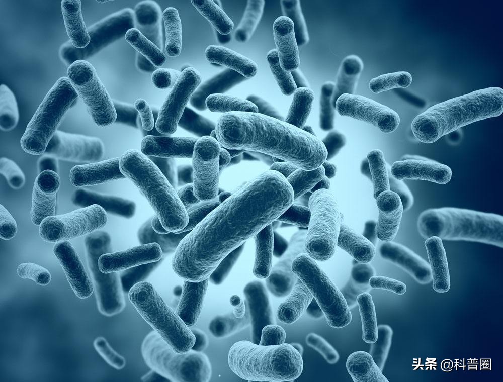 冲马桶时要不要盖盖子央视辟谣,冲马桶盖盖子和不盖盖子对比