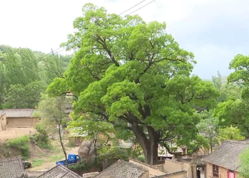 关于子弹的歌,关于子女抚养协议