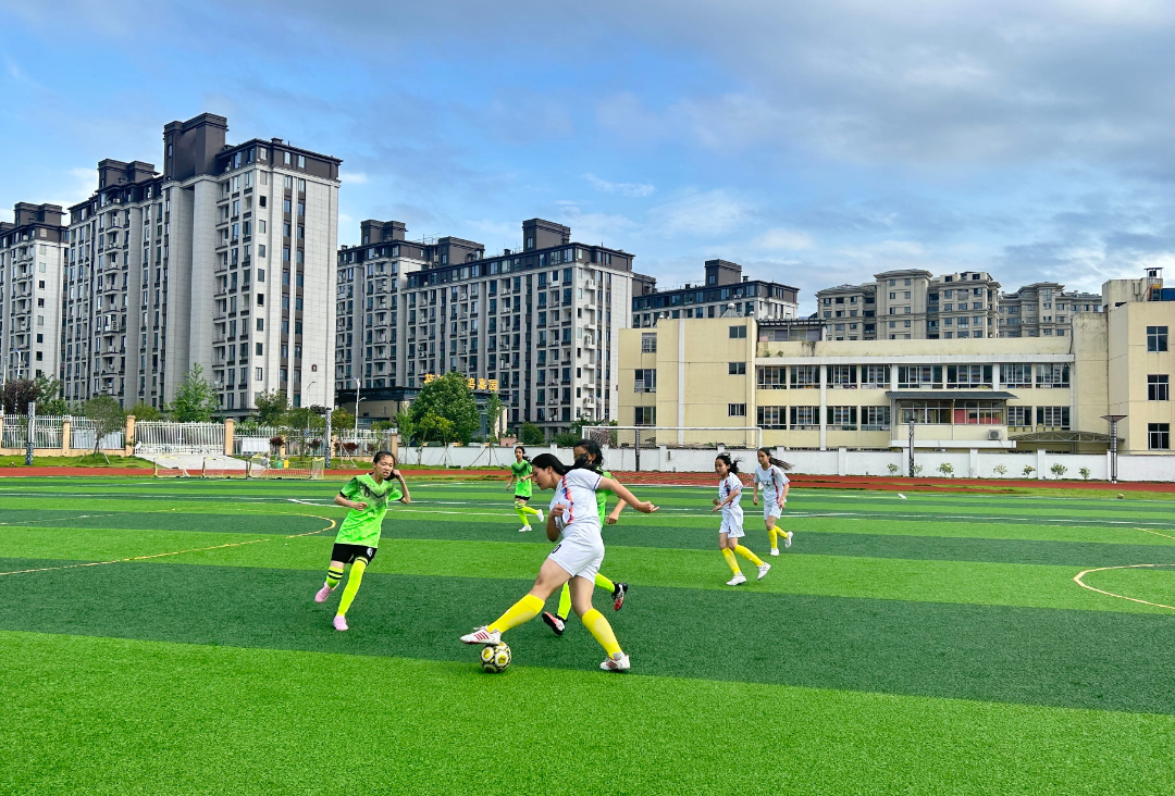 南平市派迪茵,派迪茵体育