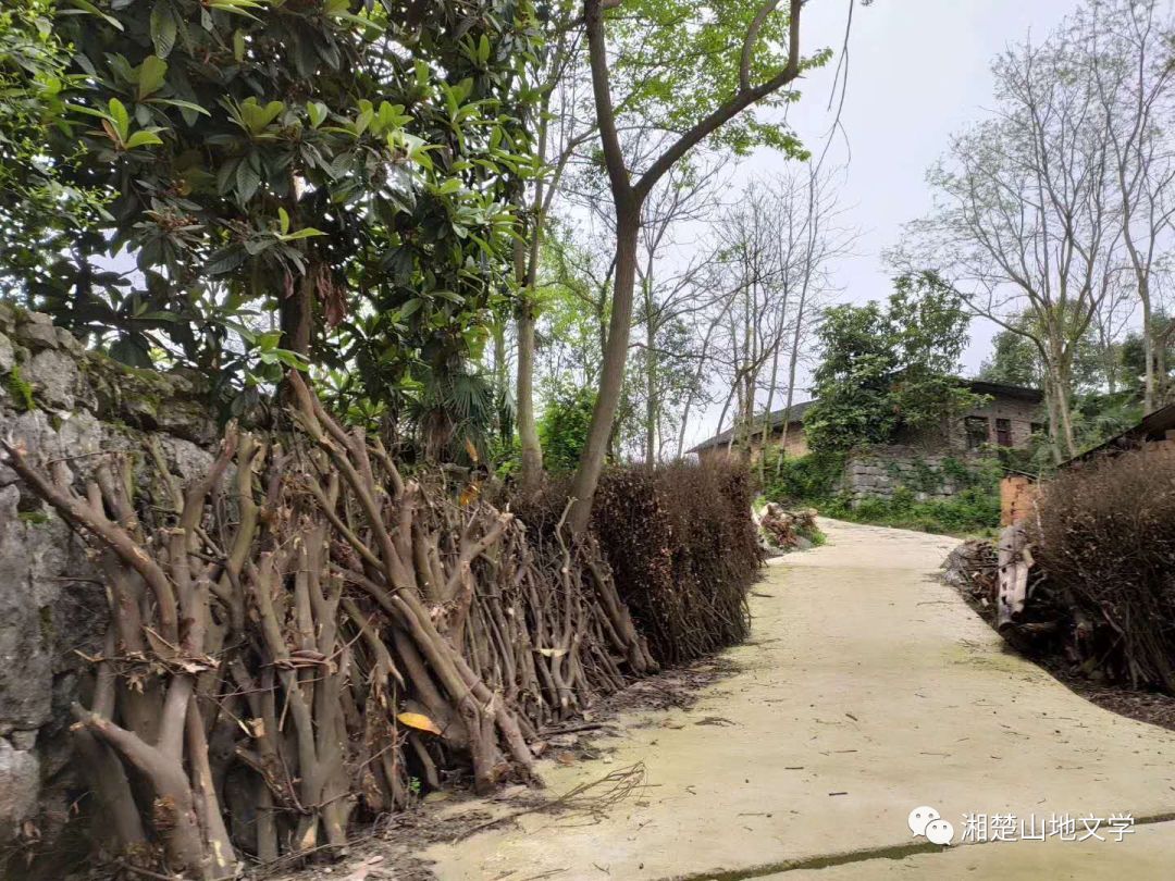 母亲是文盲沟通很困难,妈妈是文盲想认字