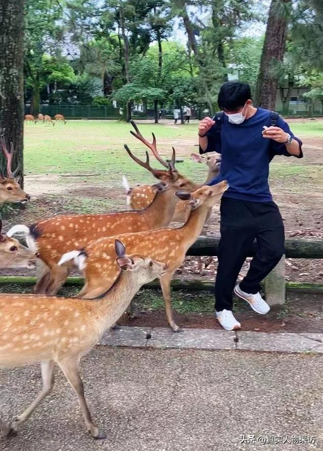 去日本留学前的真实经历,日本留学生在日本生活的真实体验