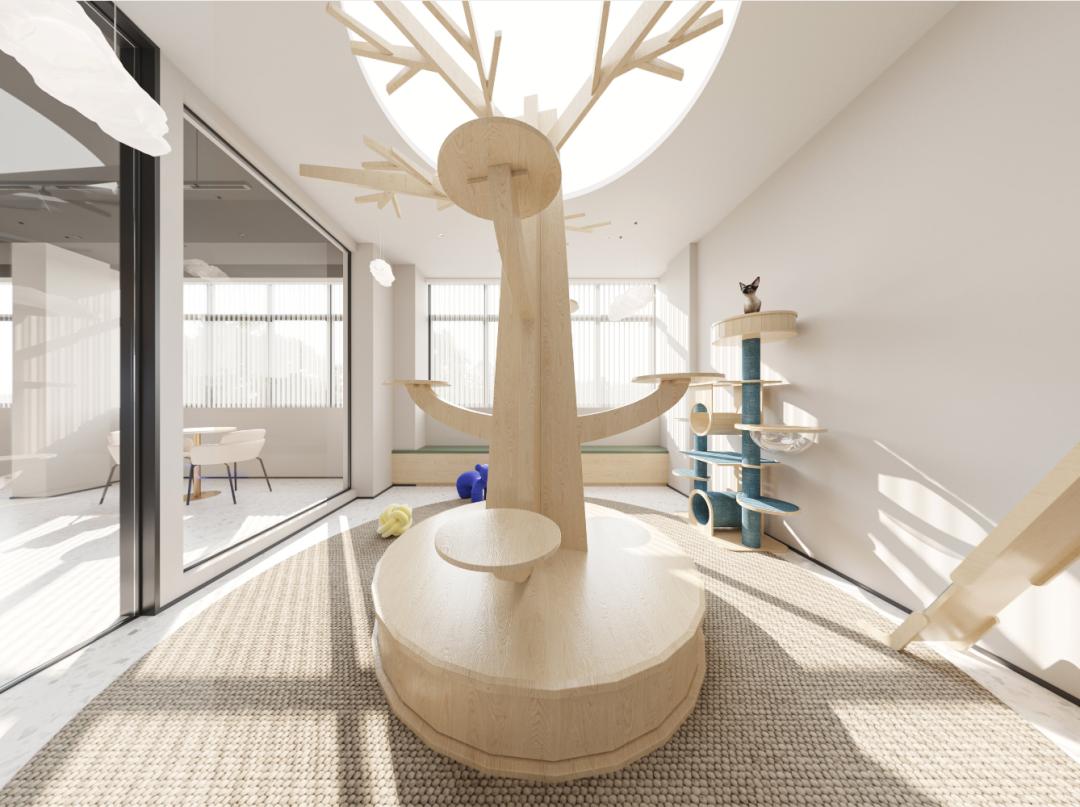 宠物店设计文字,宠物店设计功能区域