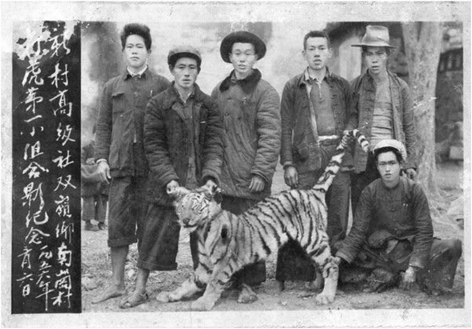 打虎人贺业武的一生