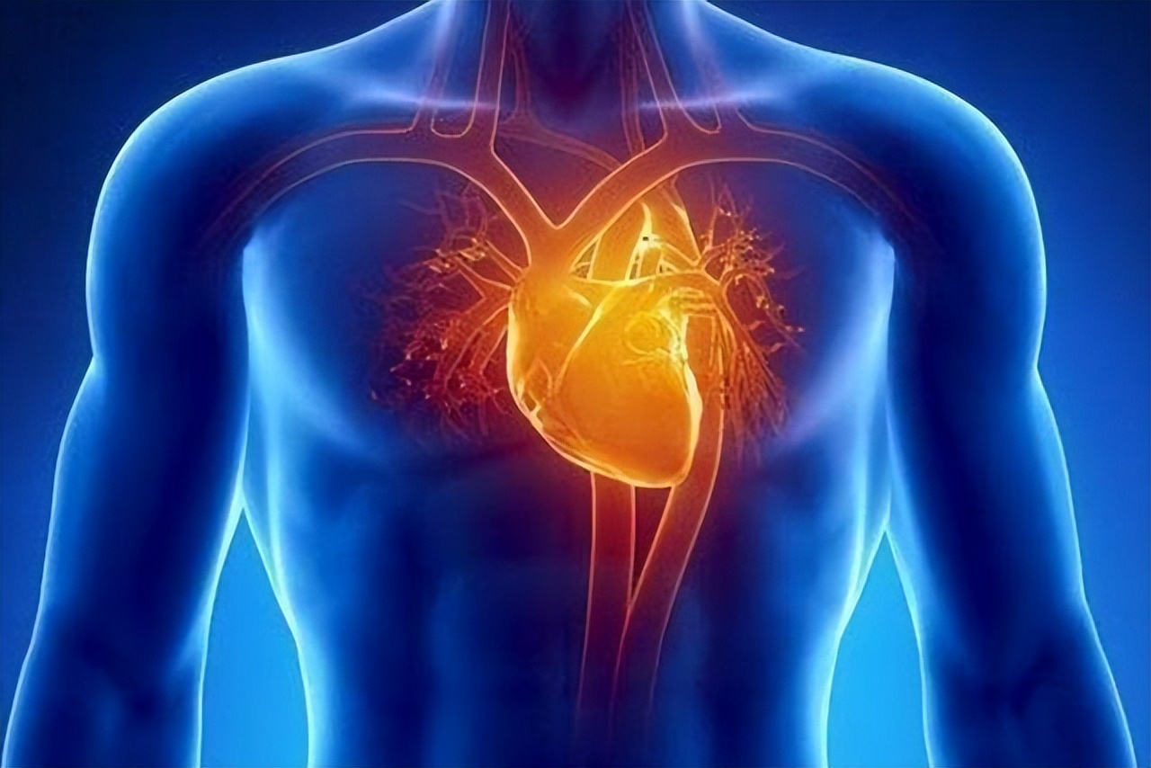 调理脾胃冠心病方子,调理脾胃竟治好了冠心病