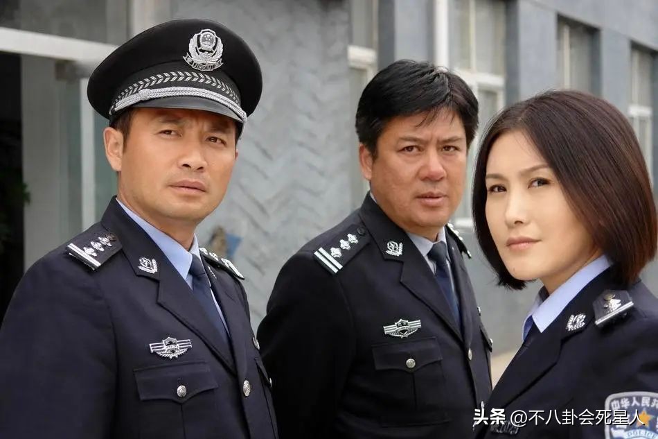 王茜主演的警察电视剧全部,王茜警察