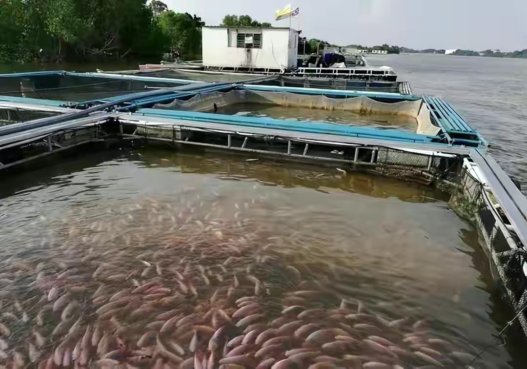 “台食品入大陆问题”持续发酵！又一准县长表态，蔡英文还有啥辙