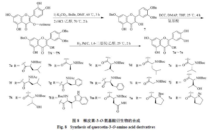 槲皮素的氧化机理,槲皮素的有关药物活性成分