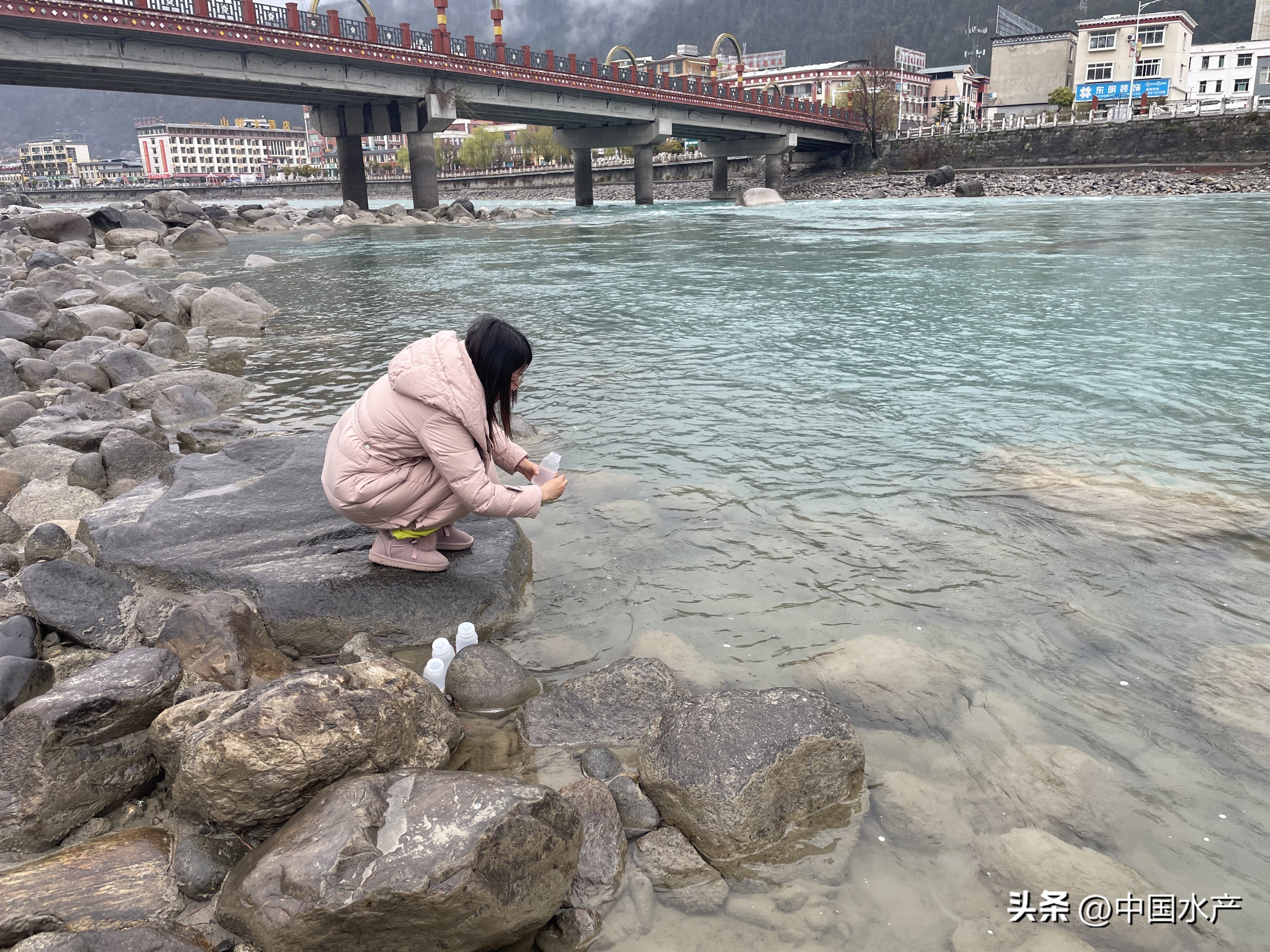水生外来物种入侵防控工作方案,水生动物防疫