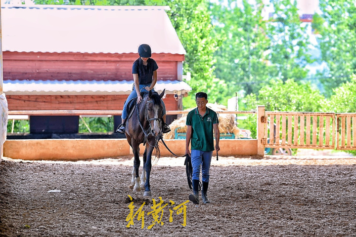 济南网红打卡地樱花大道火车,济南24小时打卡网红圣地