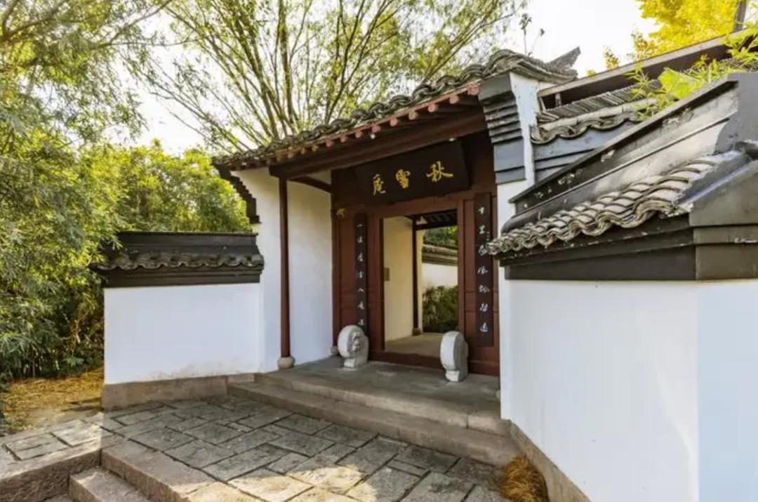 春天的潺潺溪水,春天的顶流