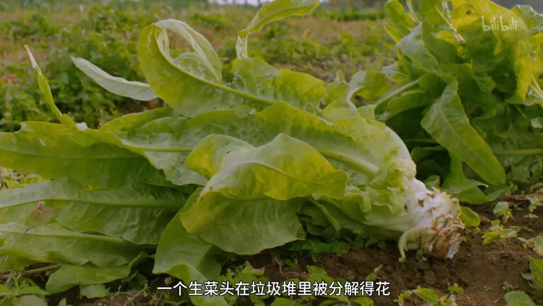 满分推荐！这部颠覆三观的良心之作，绝不该只有300人看过