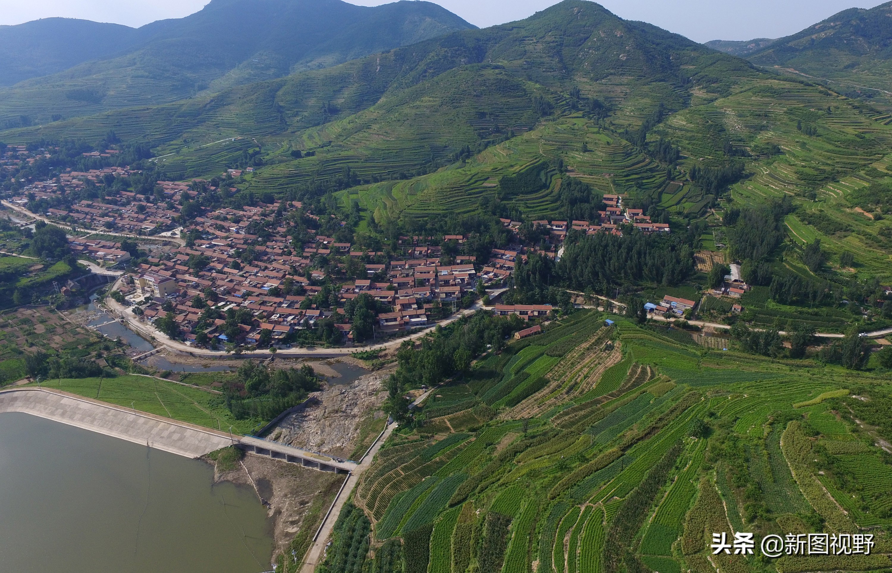 山东农村大妈手工摊煎饼视频,纯手工农村煎饼大姐