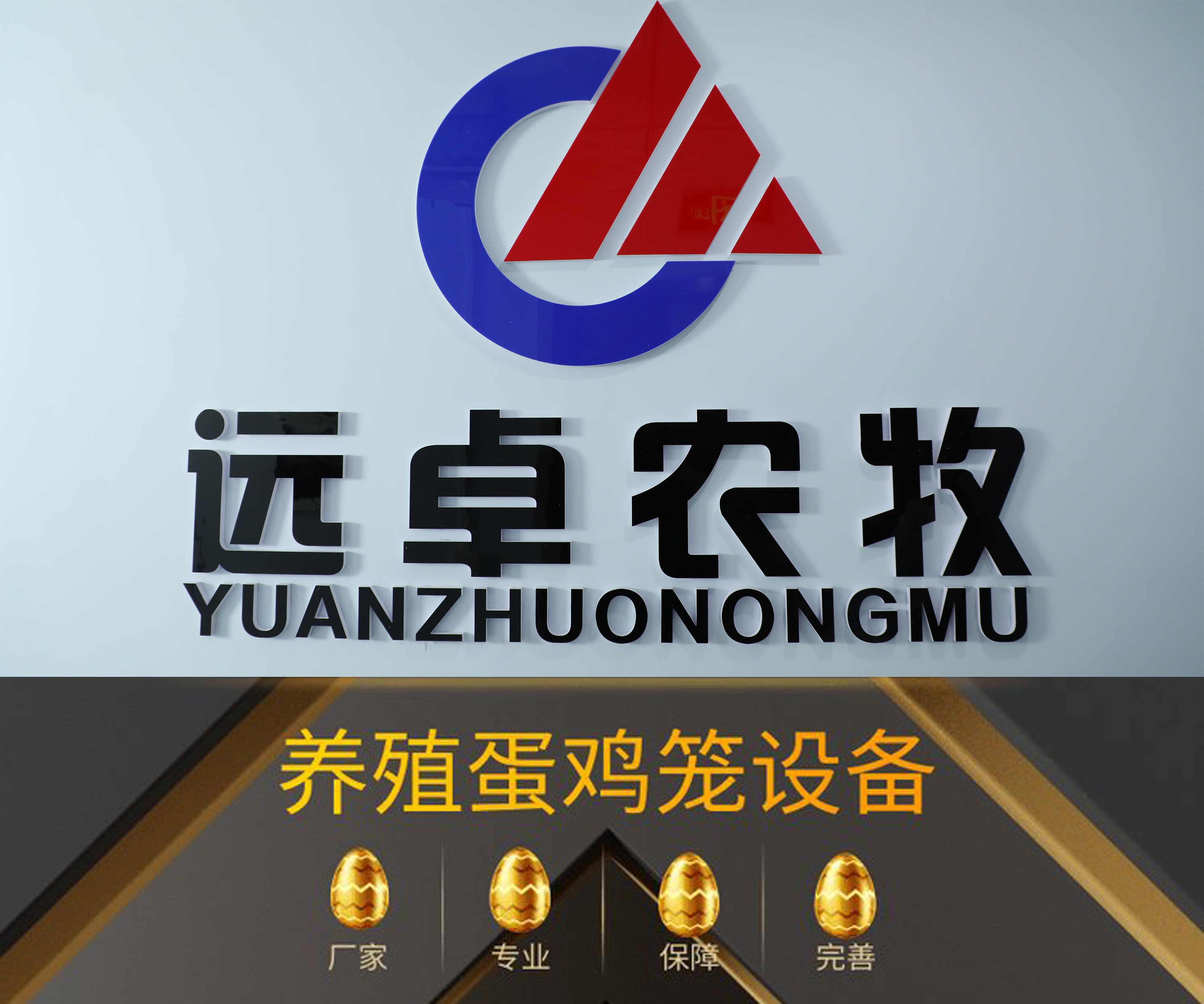 养鸡饲养管理全程,养鸡精细化管理一键解决养殖难题