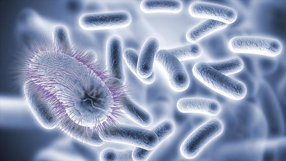 女性屁股上会长癣吗,女性臀部前面生毛怎么消除