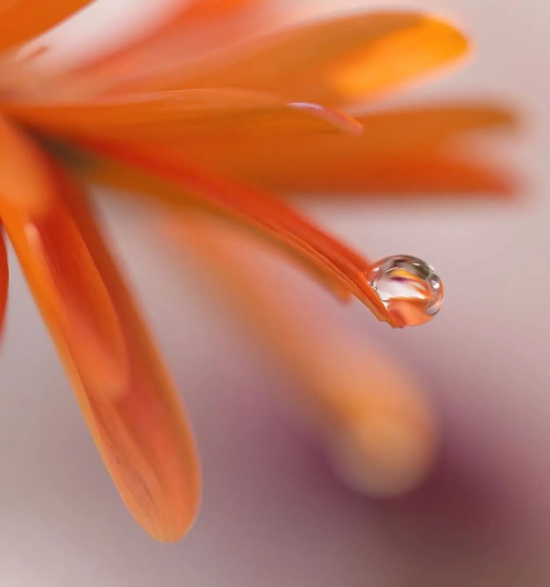 对知己的理解是什么,知己到底怎么理解