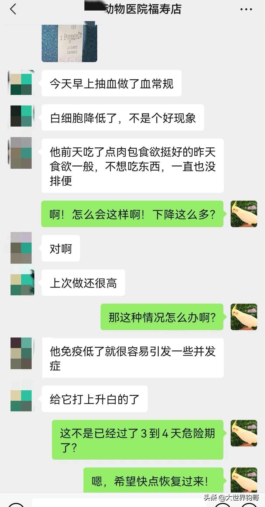 法斗幼犬得了细小治疗成功率多少,我家狗狗得了细小突然咬我一下