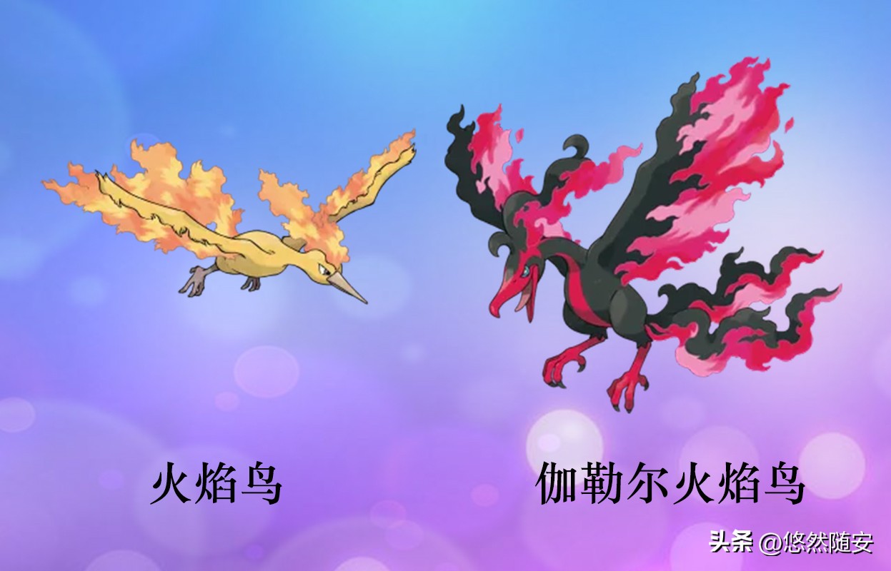 宝可梦大探险皮卡丘进化最终形态,宝可梦剑盾伊布进化哪个形态最好