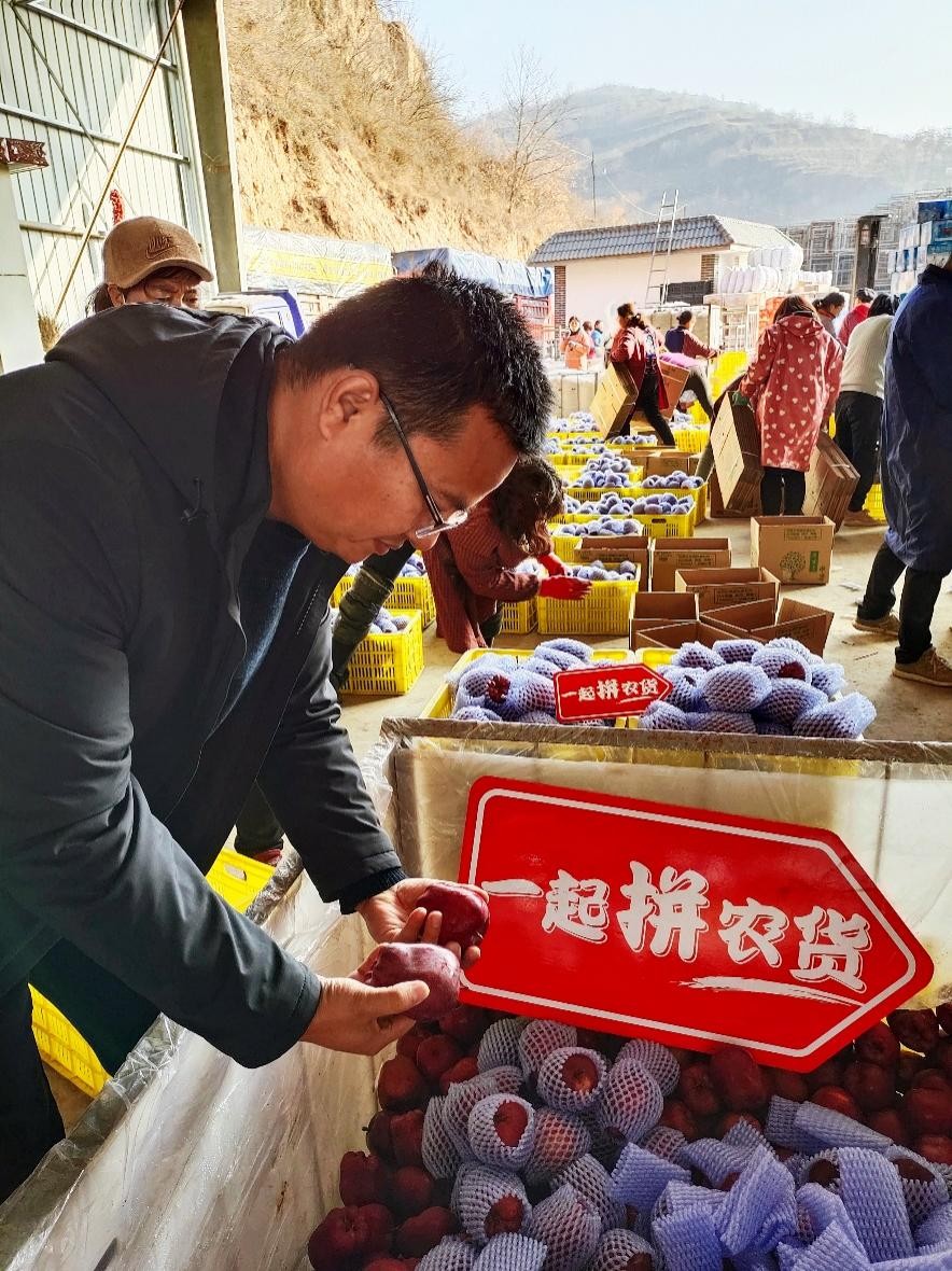 西北五省商家齐聚拼多多“农云”课堂，摩拳擦掌抢滩水果热销赛道