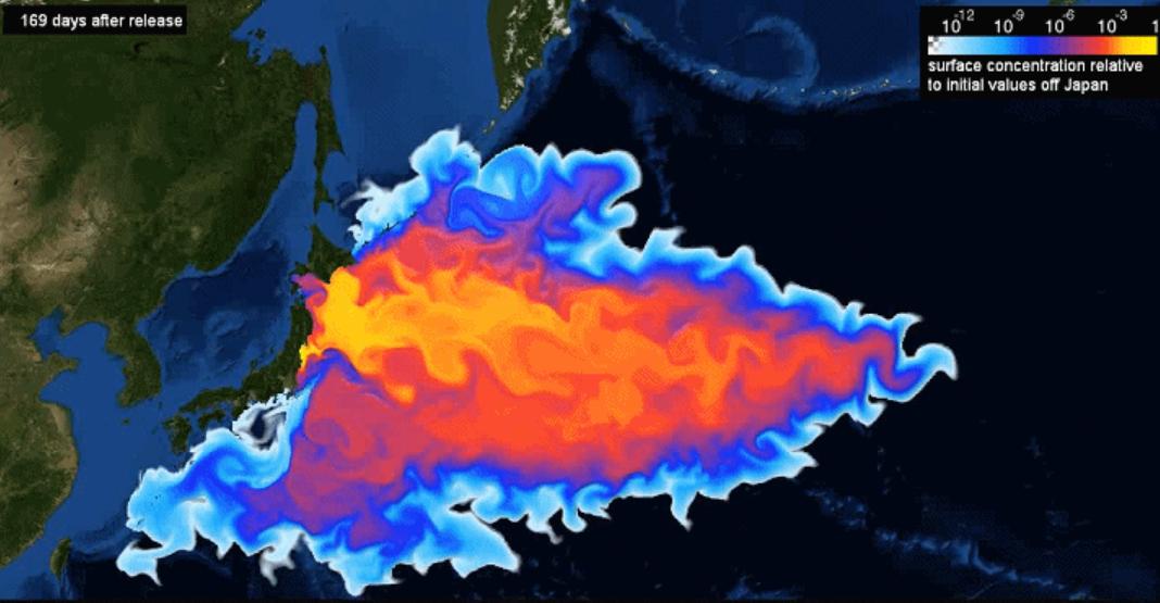 核辐射死掉了多少人,核辐射死亡真实事情