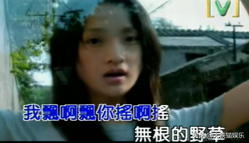 盘点那些年明星翻唱过的经典歌曲,盘点那些爆火歌曲却不知道谁唱的