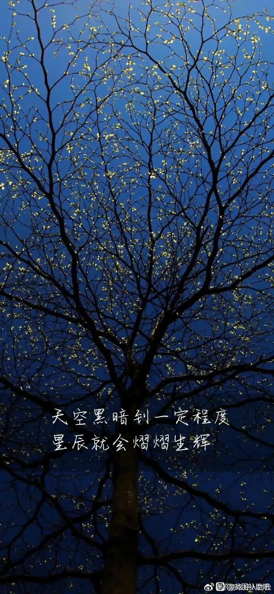 单身怎么解决心理上的问题,单身女人怎么解决心理问题