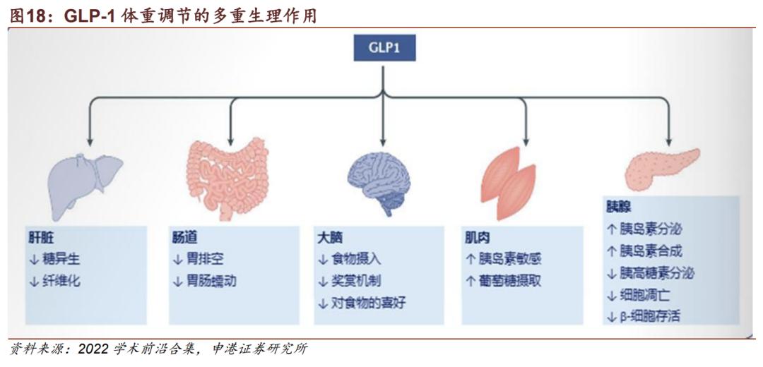 百亿美元减肥神药,AZ、辉瑞相继折戟,PD-1的一地鸡毛会重演吗?