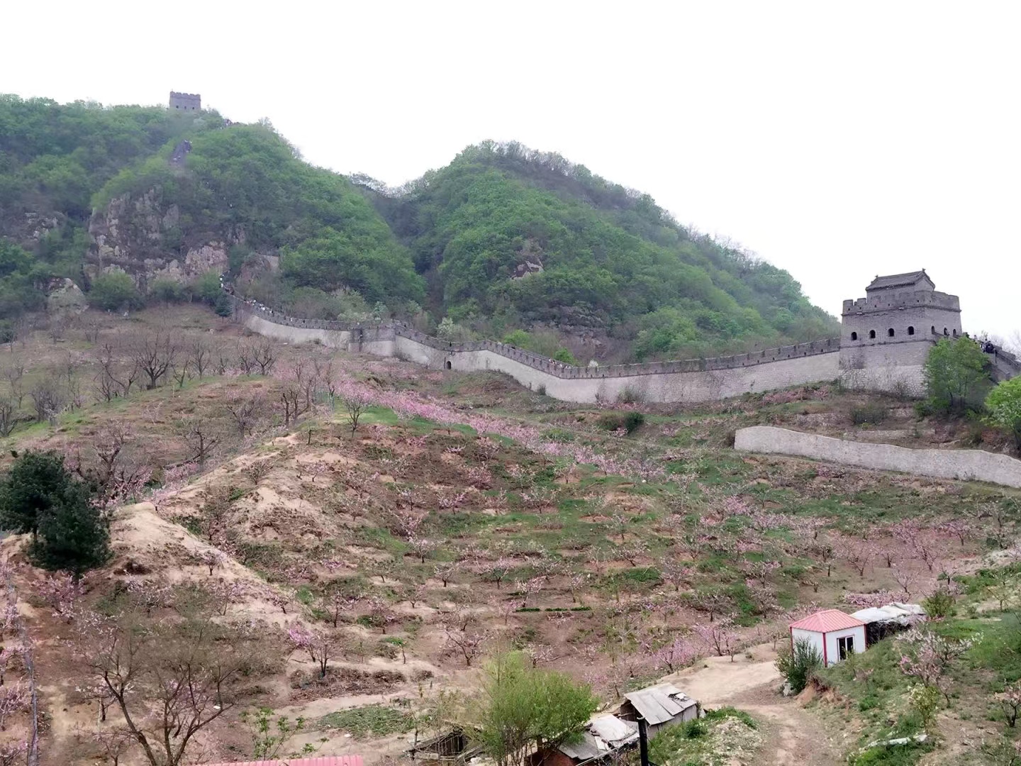 速腾1.8t自动冠军版烧机油,08年二手速腾1.6l手动会烧机油吗