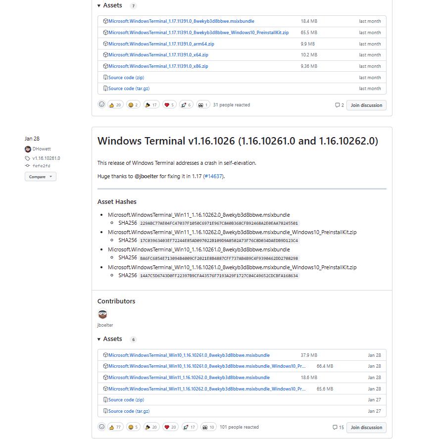 震撼！WindowsTerminal终于释放exe版本了！安装方便，想用就用