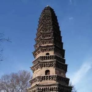 飞鸽自行车事故,飞鸽自行车品牌故事