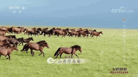 隐姓埋名于甘肃！它是中国最神秘“城市”，代号“404”，却值得所有人记住......