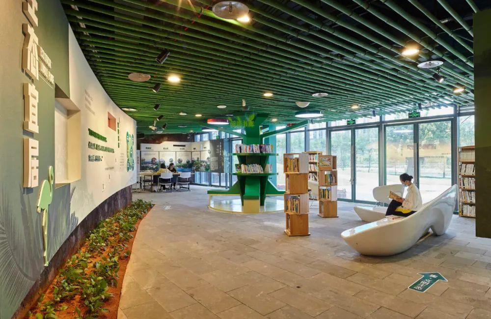 海南文明之花在哪里,海南文明之花