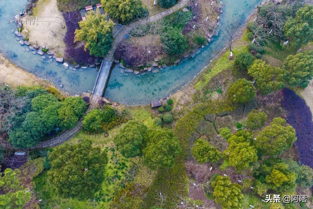 桃花源景区拍照怎么拍出高级感,桃花源的桃花航拍