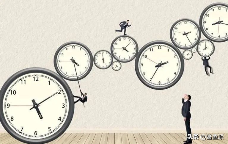 鲨鱼哥一年收入多少,鲨鱼哥讲创业