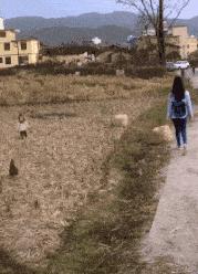 被石头划伤头有点晕,被石头磕到头流血