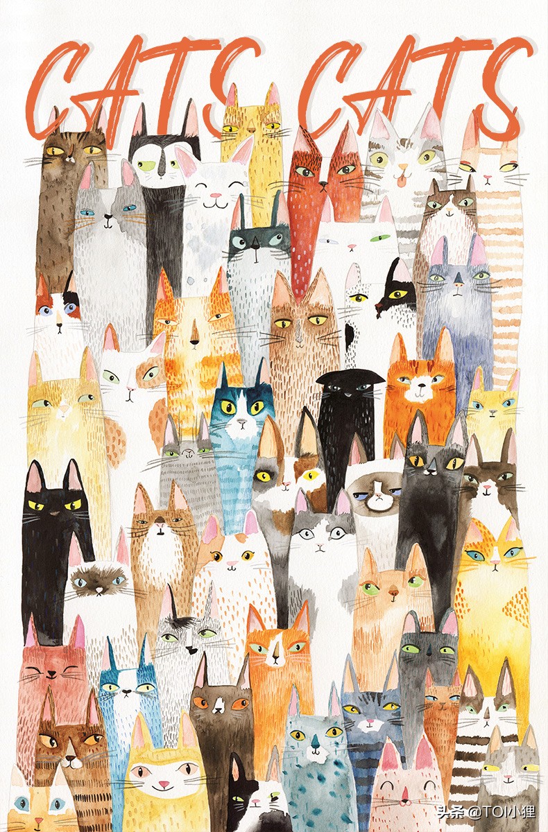 TOI图益猫咪家族拼图，看官们，你找到你家的猫咪了吗？