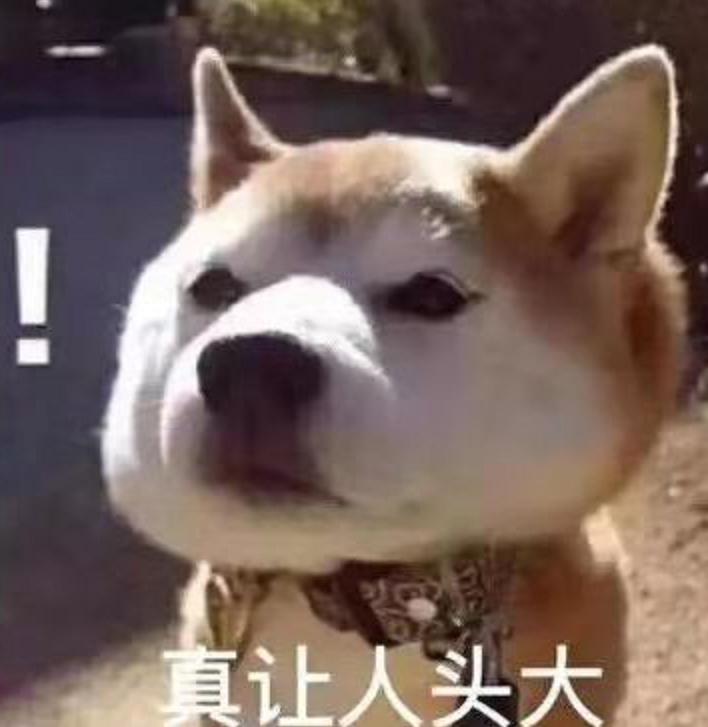 注安查询不到有效成绩,注安怎么查以往的成绩