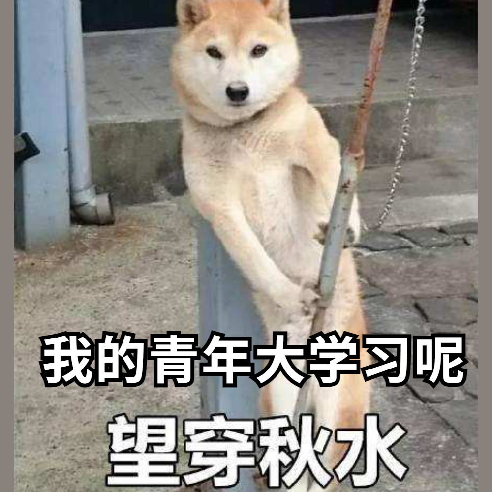 大学团支书忙的文案,团支书培训朋友圈文案