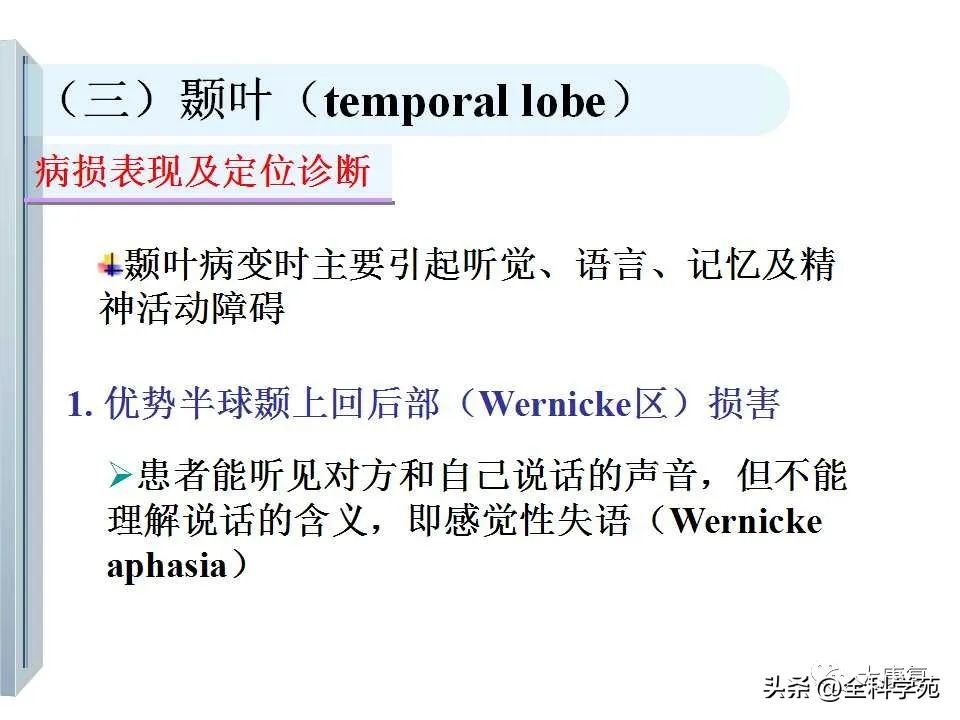 神经系统的影像与解剖定位,最全神经解剖图