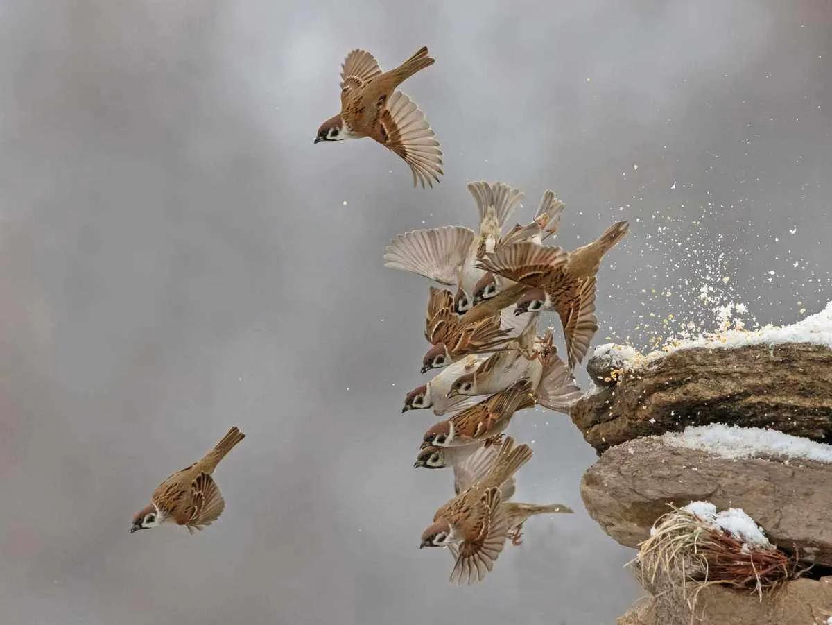 美丽的乐园歌曲,美丽的乐园完整视频