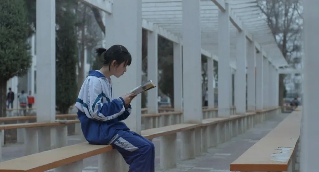 一本率99.5%，41人上清北：优秀县中是如何避免塌陷的？