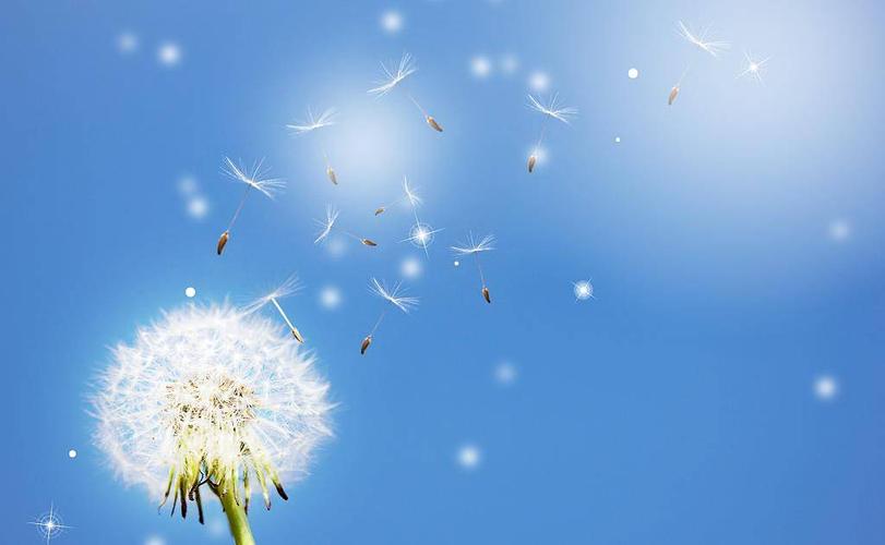 会不会有一种可能：“蒲公英种子”是外星人监视地球的工具？