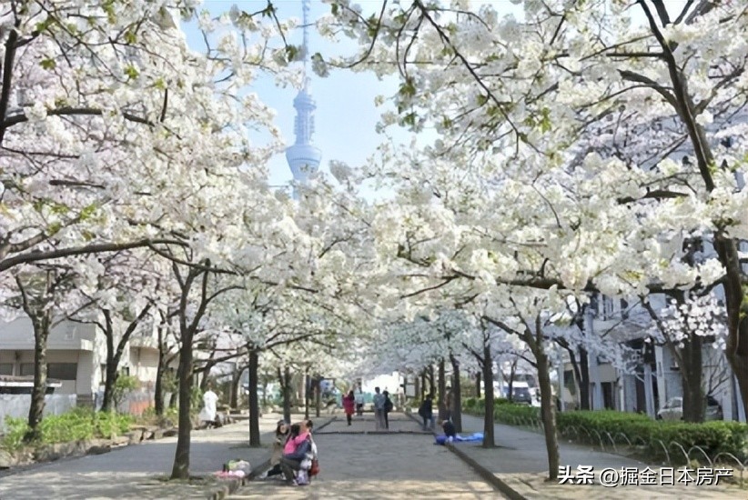 上海人在日本定居,上海人到大阪定居