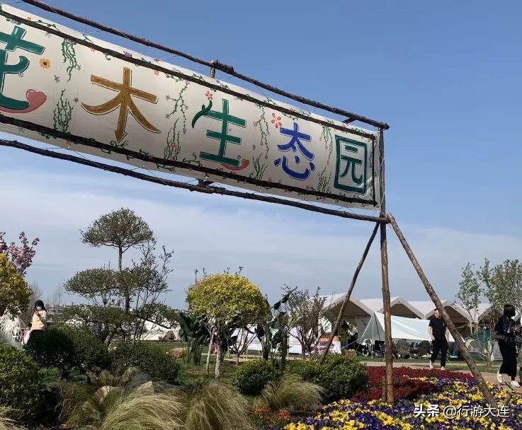 大连花市哪里最好玩,大连的花市有哪些