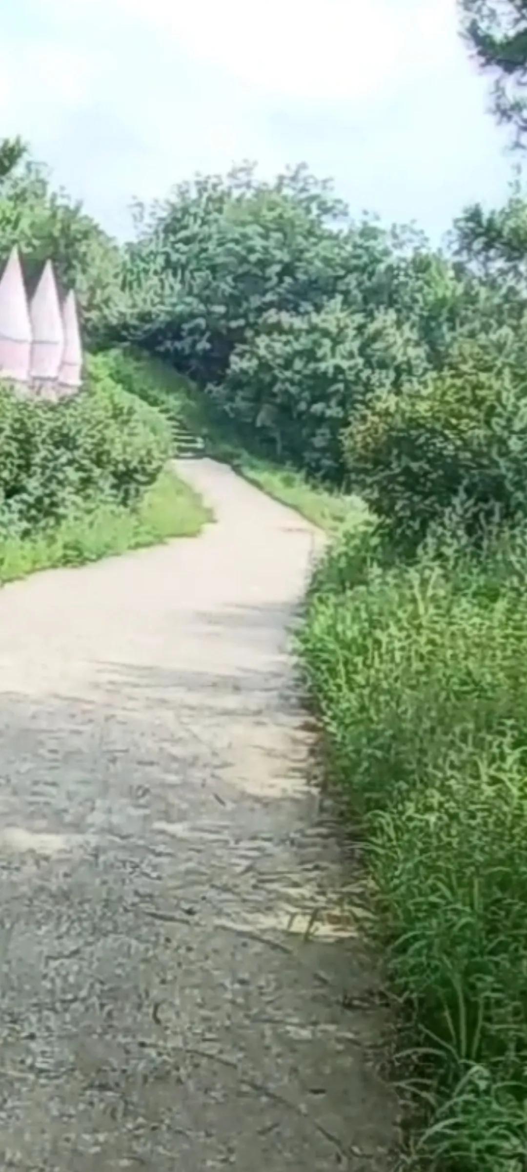 梦幻城堡礼物多少钱,梦幻城堡别墅