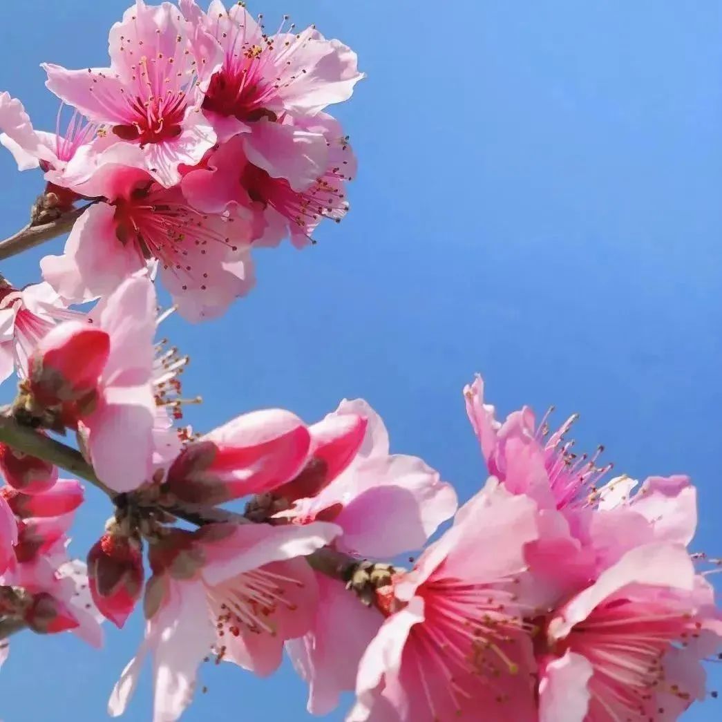 今日开通高铁,快上车流程