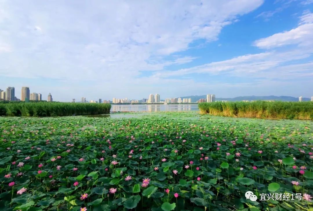 宜兴百强县2006,宜兴市百强全国排名