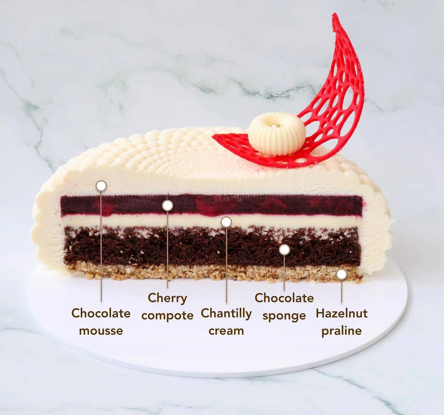 蛋糕切面,蛋糕两层夹心切面图片