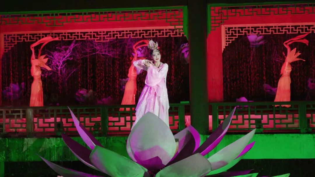 小暑已至！夏日顶流登场，一池荷风，满院莲香，惊艳了整个夏天！