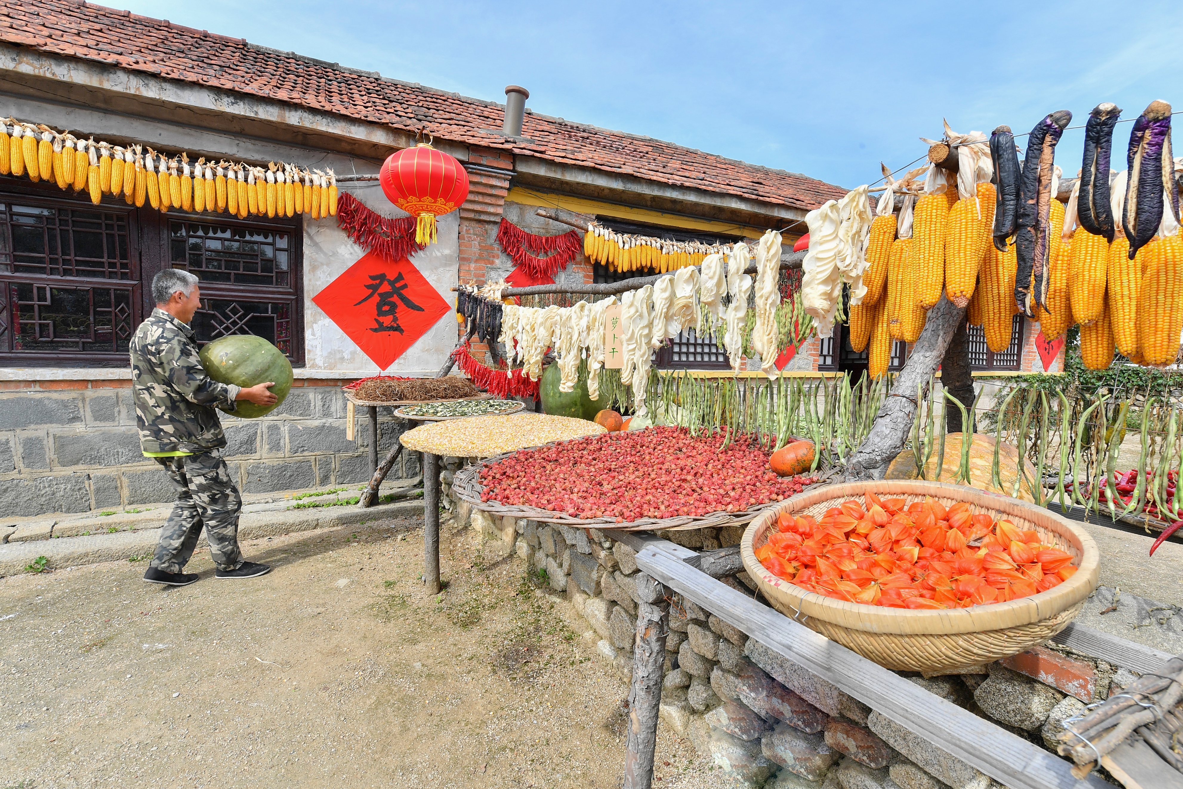 为全面推进乡村振兴贡献“期货力量”——浙商期货持续九年探索“保险+期货”模式成效显著